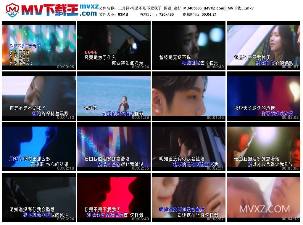 王月园-你是不是不爱我了_国语_流行_MD403886